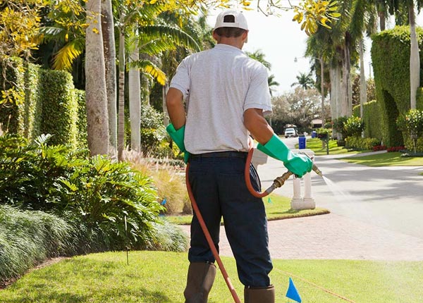 About Bonita CA Pest Control Pros